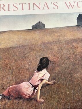 Christina's World Art Print - Pink Dress Illustration Art Collectors Book